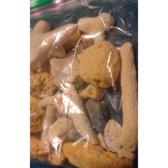 Corals and Beach Gems - Picture 3 of 7